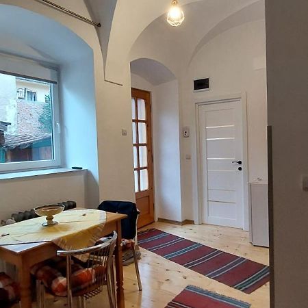 Apartament Zenaida シビウ エクステリア 写真